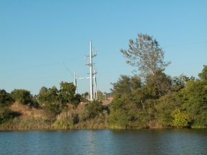 View from the Lake